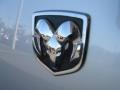 Bright Silver Metallic - Charger SE Photo No. 19