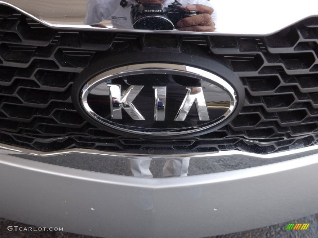 2013 Forte LX - Bright Silver / Stone photo #19