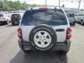 Bright Silver Metallic - Liberty CRD Sport 4x4 Photo No. 6