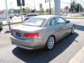 2010 Platinum Bronze Metallic BMW 3 Series 328i Convertible  photo #8