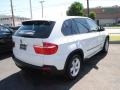 Alpine White - X5 xDrive30i Photo No. 8