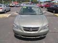 Natural Khaki Green - Sonata GLS V6 Photo No. 4