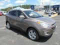 2013 Chai Bronze Hyundai Tucson GLS AWD  photo #1