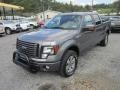 2011 Sterling Grey Metallic Ford F150 FX4 SuperCrew 4x4  photo #3