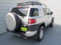 Titanium Metallic - FJ Cruiser  Photo No. 3
