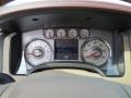 Chaparral Leather/Camel Gauges Photo for 2009 Ford F150 #69083953