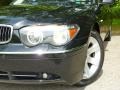 2004 Black Sapphire Metallic BMW 7 Series 745Li Sedan  photo #30