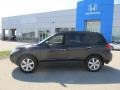Ebony Black - Santa Fe Limited 4WD Photo No. 2