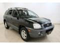 Black Obsidian 2002 Hyundai Santa Fe GLS