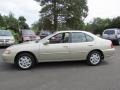 Cultured Sandstone Pearl Metallic - Altima GXE Photo No. 11