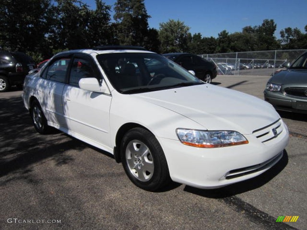 Taffeta White Honda Accord