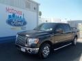 Ebony Black - F150 XLT SuperCrew Photo No. 1