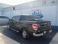 Ebony Black - F150 XLT SuperCrew Photo No. 3