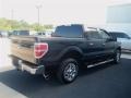 Ebony Black - F150 XLT SuperCrew Photo No. 6