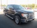 Ebony Black - F150 XLT SuperCrew Photo No. 8