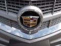 Radiant Silver Metallic - SRX Luxury Photo No. 22