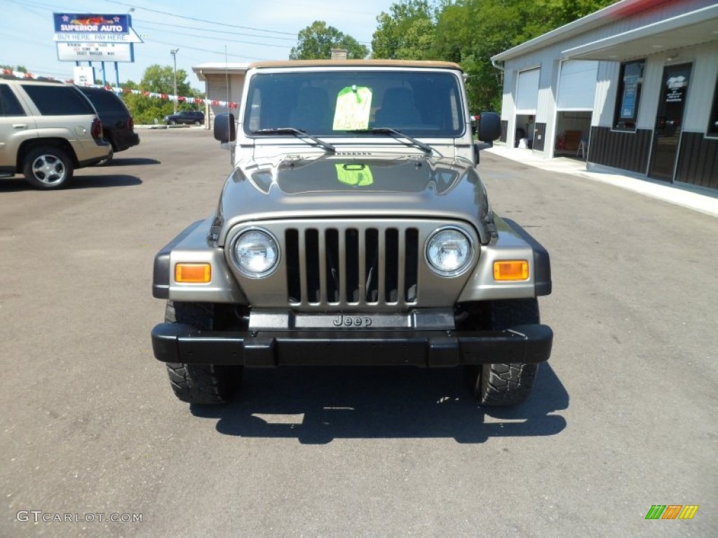 2004 Wrangler X 4x4 - Light Khaki Metallic / Khaki photo #3