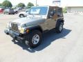 2004 Light Khaki Metallic Jeep Wrangler X 4x4  photo #8