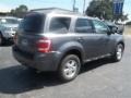2010 Sterling Grey Metallic Ford Escape XLT  photo #3