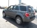 2010 Sterling Grey Metallic Ford Escape XLT  photo #5