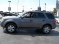 2010 Sterling Grey Metallic Ford Escape XLT  photo #6