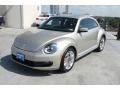 Moonrock Silver Metallic - Beetle 2.5L Photo No. 3