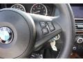 Black Controls Photo for 2010 BMW 5 Series #69114935