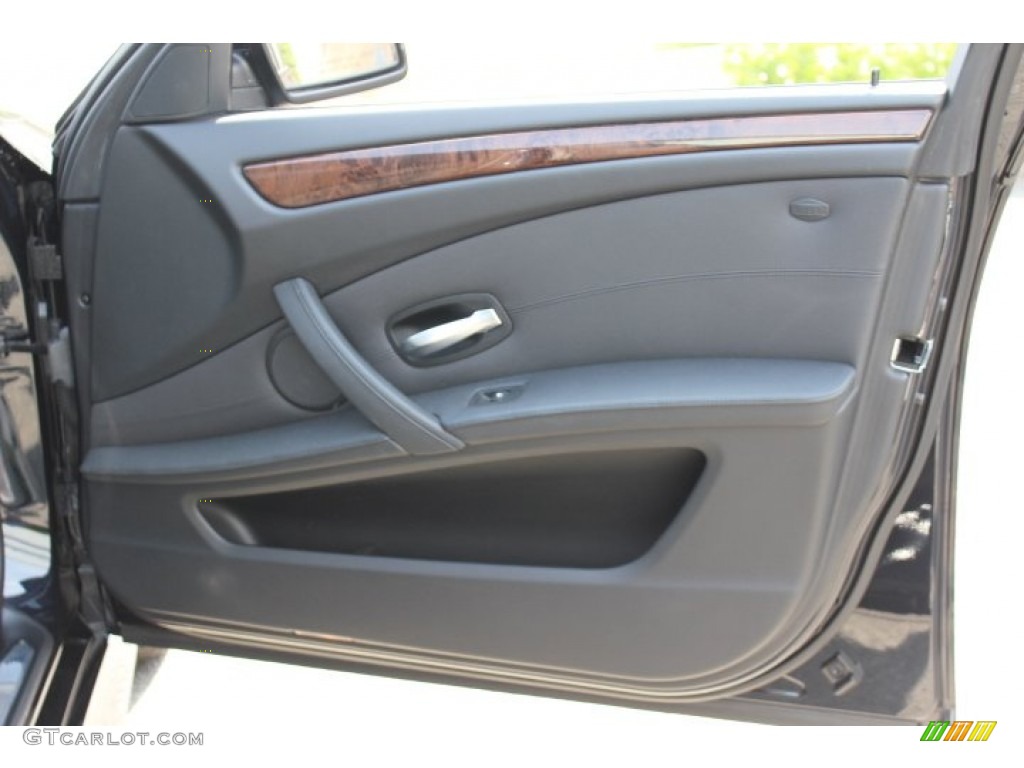2010 BMW 5 Series 528i xDrive Sedan Door Panel Photos
