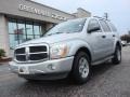 Bright Silver Metallic 2005 Dodge Durango SLT