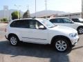 Alpine White - X5 xDrive48i Photo No. 3