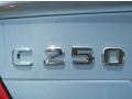 2013 Diamond Silver Metallic Mercedes-Benz C 250 Coupe  photo #4