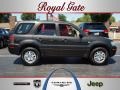 2006 Charcoal Beige Metallic Mercury Mariner Convenience #69093800