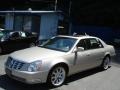 Gold Mist 2009 Cadillac DTS Premium Luxury