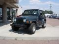 Forest Green Pearl - Wrangler Sport 4x4 Photo No. 12