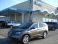 2012 Urban Titanium Metallic Honda CR-V EX 4WD  photo #1