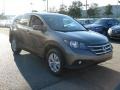 2012 Urban Titanium Metallic Honda CR-V EX 4WD  photo #3