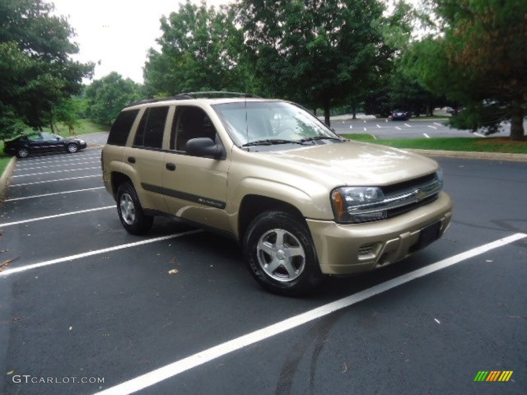 2004 TrailBlazer LS 4x4 - Sandstone Metallic / Dark Pewter photo #1