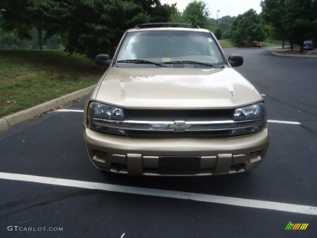 2004 TrailBlazer LS 4x4 - Sandstone Metallic / Dark Pewter photo #2