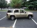 2004 Sandstone Metallic Chevrolet TrailBlazer LS 4x4  photo #8