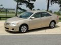 Sandy Beach Metallic - Camry  Photo No. 9