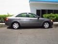 Willow Gray - Sonata GLS Photo No. 2