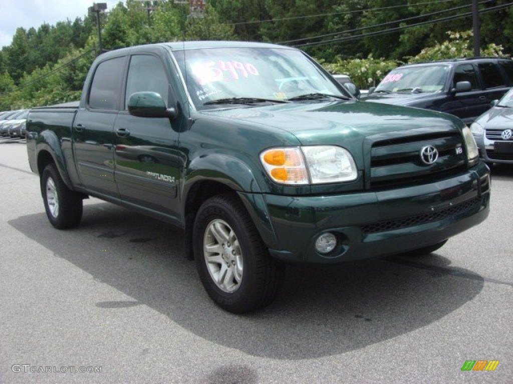 2004 Tundra Limited Double Cab - Imperial Jade Mica / Oak photo #6