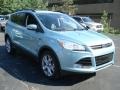 2013 Frosted Glass Metallic Ford Escape SEL 1.6L EcoBoost 4WD  photo #1