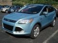 2013 Frosted Glass Metallic Ford Escape SEL 1.6L EcoBoost 4WD  photo #3