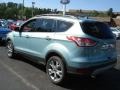Frosted Glass Metallic 2013 Ford Escape SEL 1.6L EcoBoost 4WD Exterior
