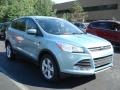 2013 Frosted Glass Metallic Ford Escape SE 1.6L EcoBoost 4WD  photo #1