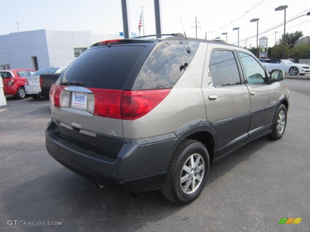 2002 Rendezvous CXL AWD - Pewter Metallic / Dark Gray photo #7