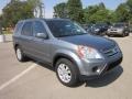 Pewter Pearl - CR-V Special Edition 4WD Photo No. 1