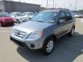 Pewter Pearl - CR-V Special Edition 4WD Photo No. 3