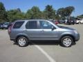 Pewter Pearl - CR-V Special Edition 4WD Photo No. 8